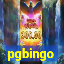 pgbingo