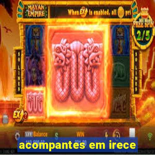 acompantes em irece