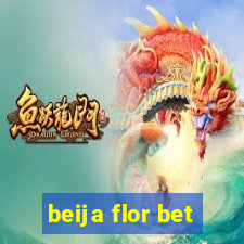 beija flor bet
