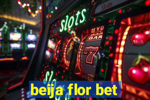 beija flor bet