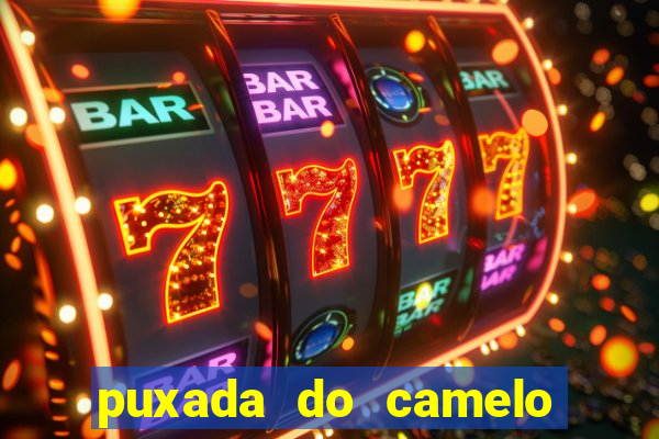 puxada do camelo no jogo do bicho