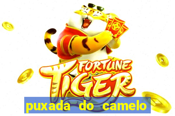 puxada do camelo no jogo do bicho