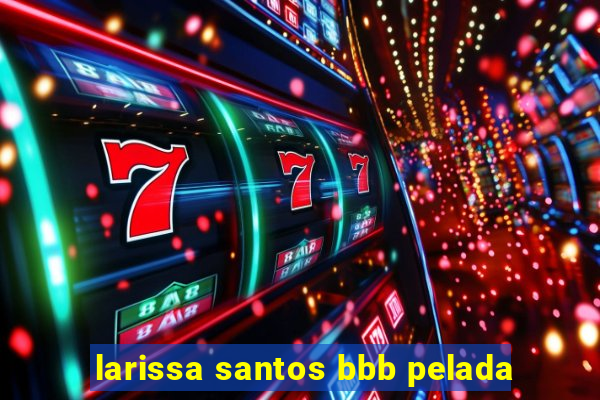 larissa santos bbb pelada