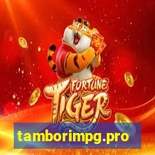 tamborimpg.pro