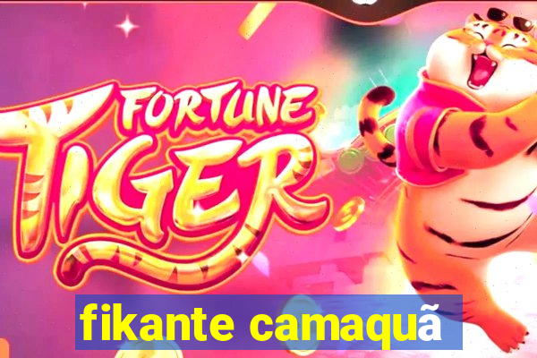 fikante camaquã