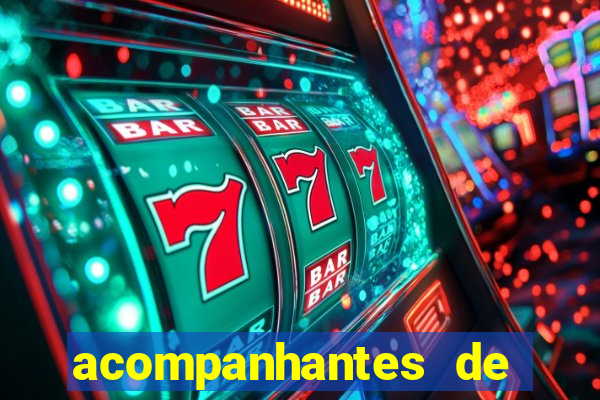 acompanhantes de juiz de fora