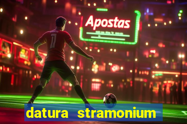 datura stramonium medicinal uses