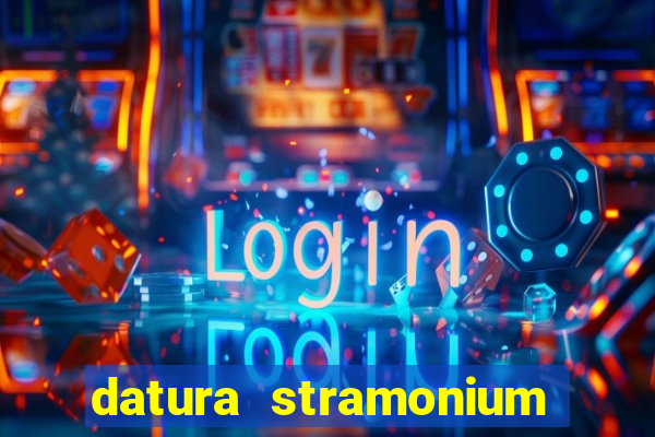 datura stramonium medicinal uses