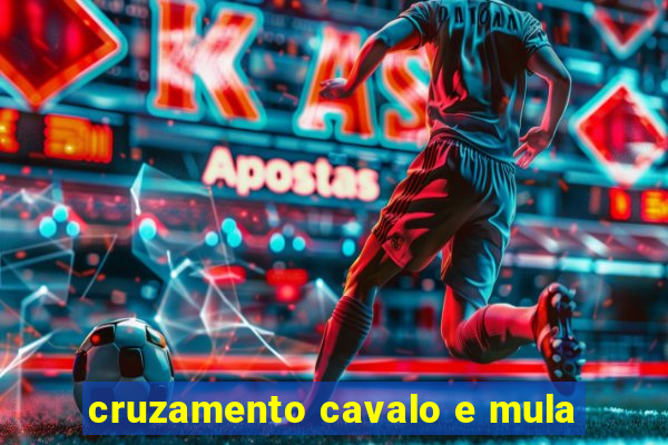 cruzamento cavalo e mula