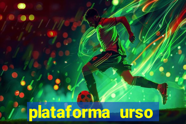 plataforma urso polar 777