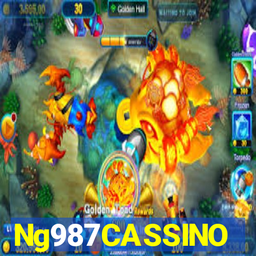 Ng987CASSINO