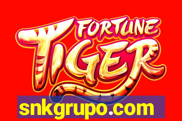 snkgrupo.com