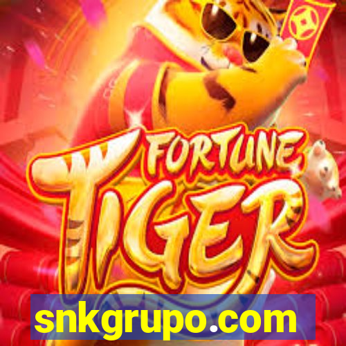 snkgrupo.com