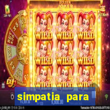 simpatia para trazer o amor