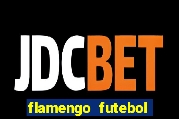 flamengo futebol play hd