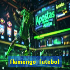 flamengo futebol play hd