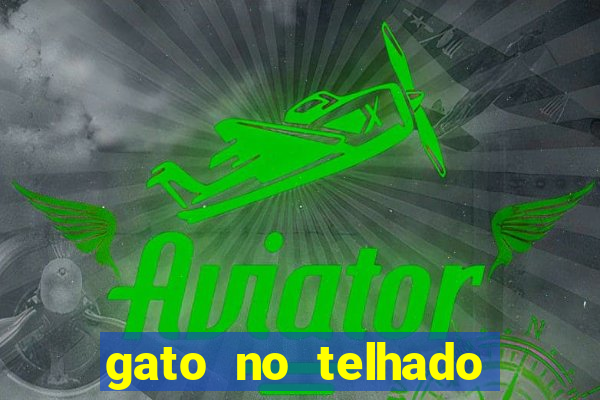 gato no telhado significado espiritual