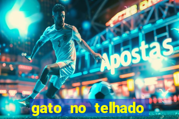 gato no telhado significado espiritual