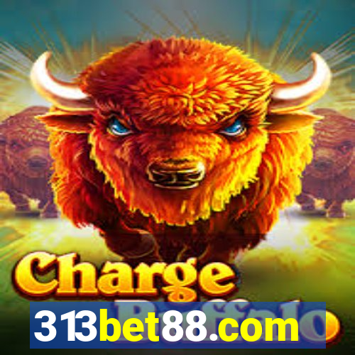 313bet88.com