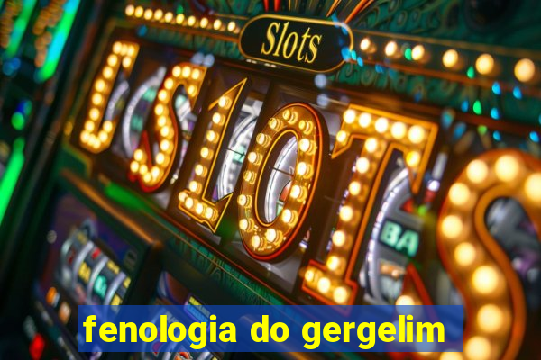 fenologia do gergelim