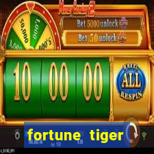 fortune tiger cassino pix