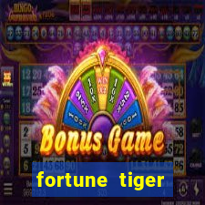 fortune tiger cassino pix