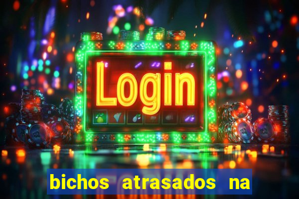 bichos atrasados na loteria federal