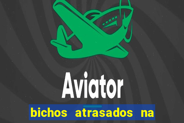 bichos atrasados na loteria federal