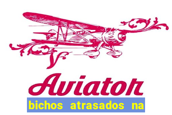 bichos atrasados na loteria federal