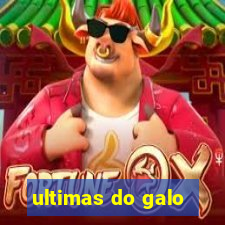 ultimas do galo