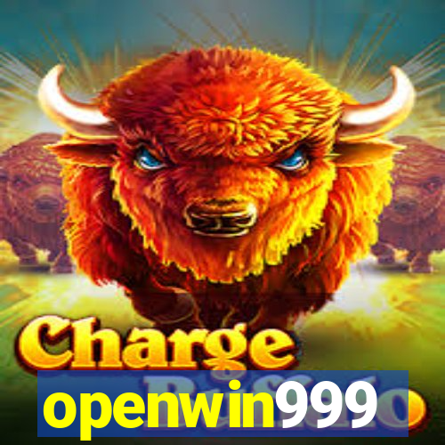 openwin999