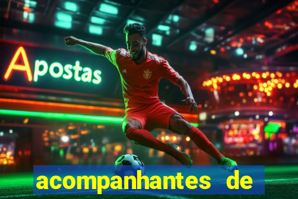 acompanhantes de luxo porto feliz