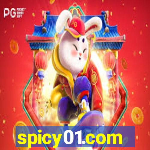 spicy01.com