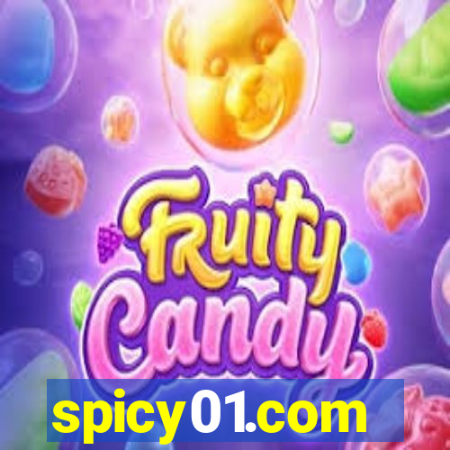 spicy01.com