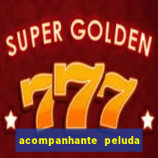 acompanhante peluda porto alegre