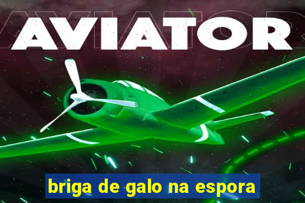 briga de galo na espora