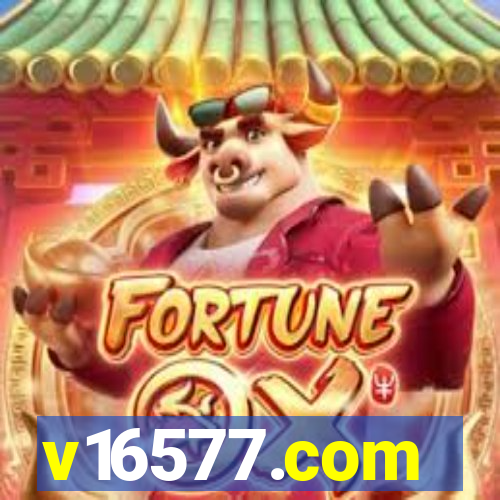 v16577.com