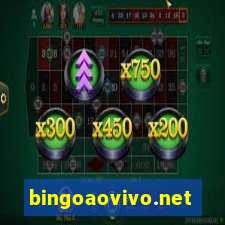 bingoaovivo.net