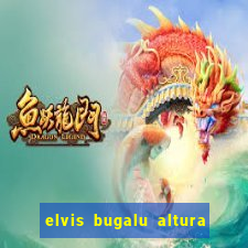 elvis bugalu altura e peso