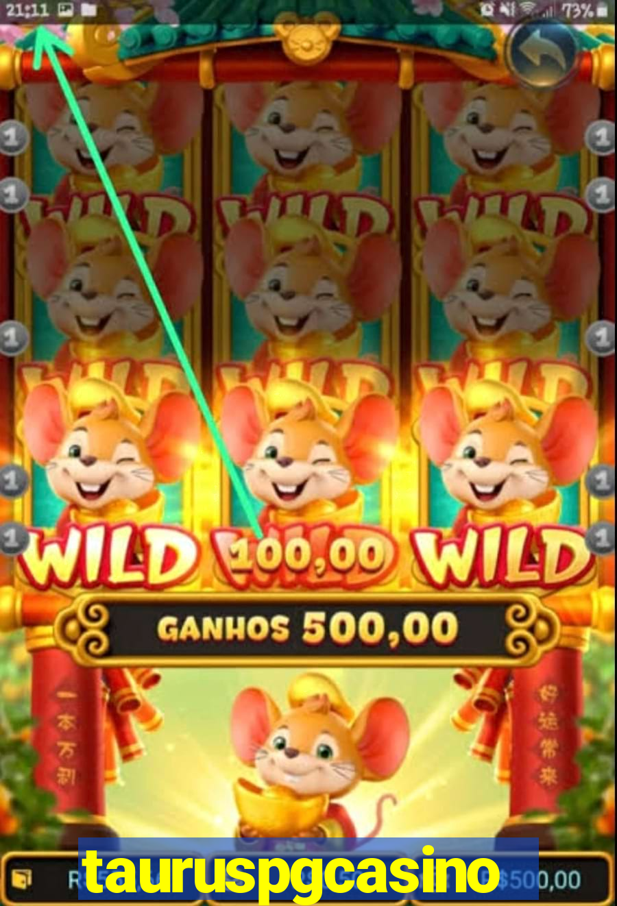 tauruspgcasino