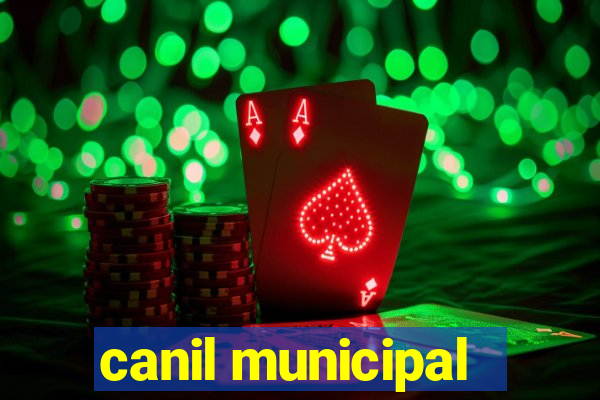 canil municipal