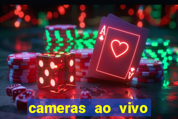 cameras ao vivo beto carrero