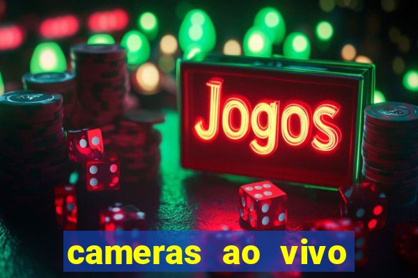 cameras ao vivo beto carrero