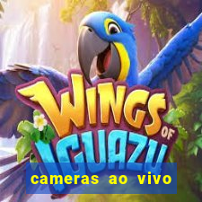 cameras ao vivo beto carrero