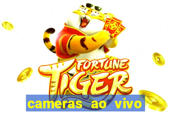 cameras ao vivo beto carrero