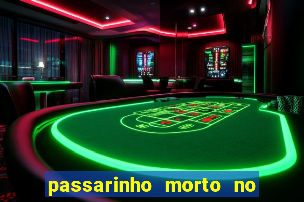 passarinho morto no quintal significado espiritual