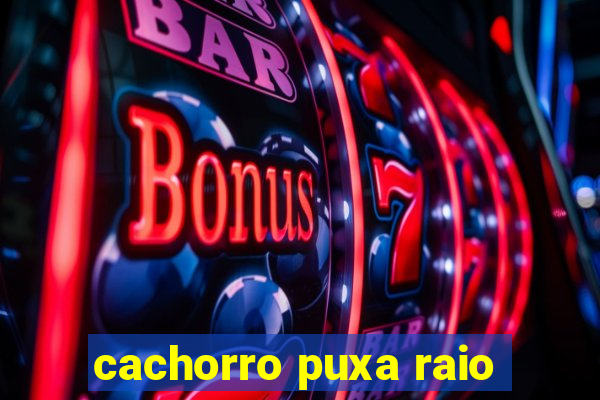 cachorro puxa raio