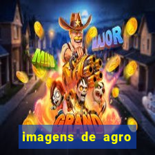 imagens de agro racoes guarani