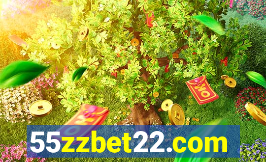55zzbet22.com