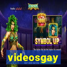 videosgay